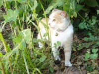 /album/fotogaleria/maria-antonia-2-jpg/